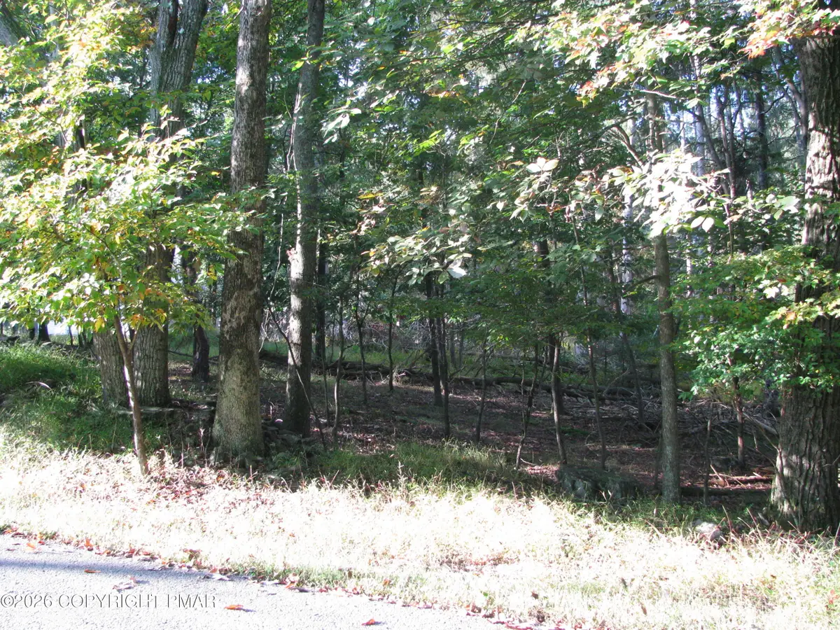 505 Magic Mountain Road, Henryville, PA 18332 - #1