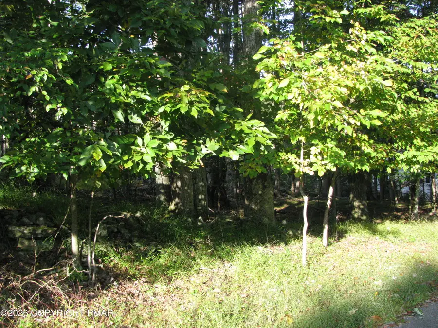 505 Magic Mountain Road, Henryville, PA 18332 - #3