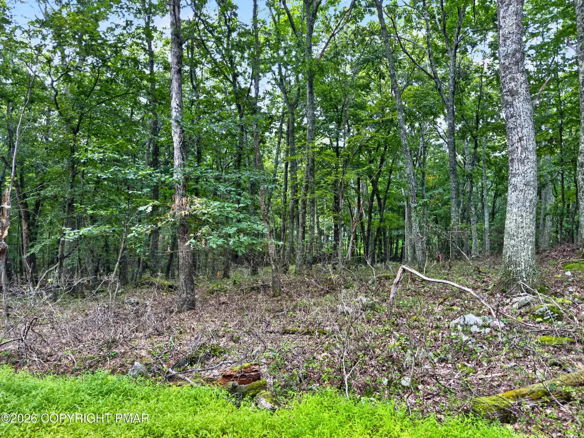 Cowaw Road, Milford, PA 18337 - #1