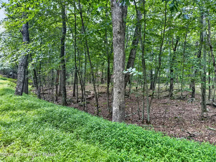 Cowaw Road, Milford, PA 18337 - #3