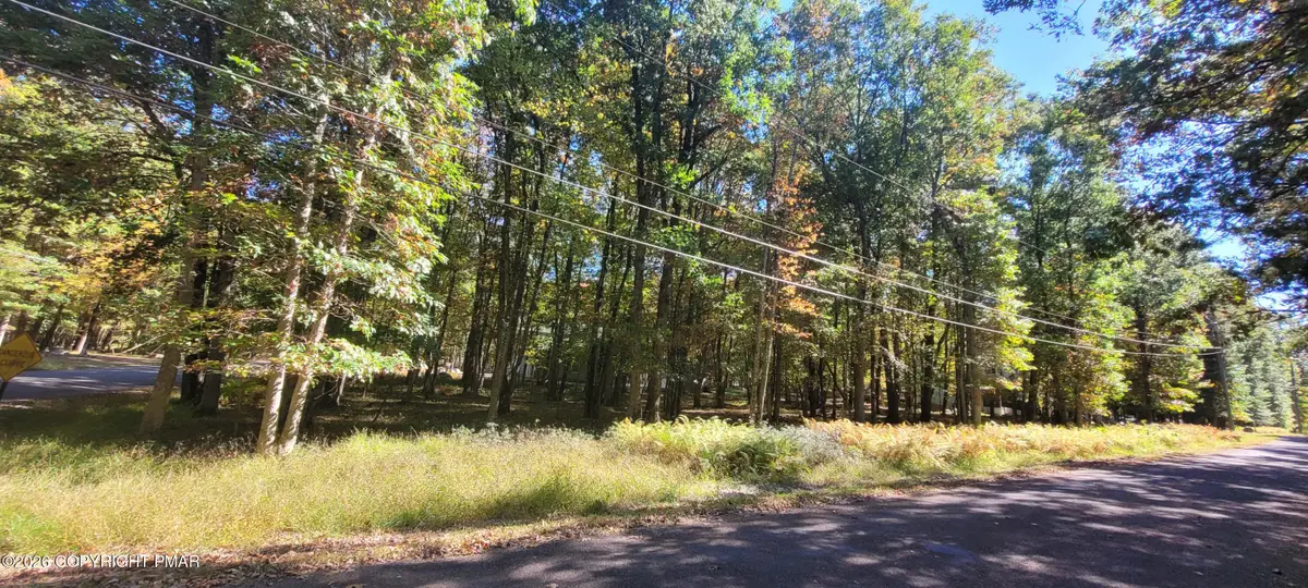 A310 Towamensing Trail & Byron Lane, Albrightsville, PA 18210 - #1
