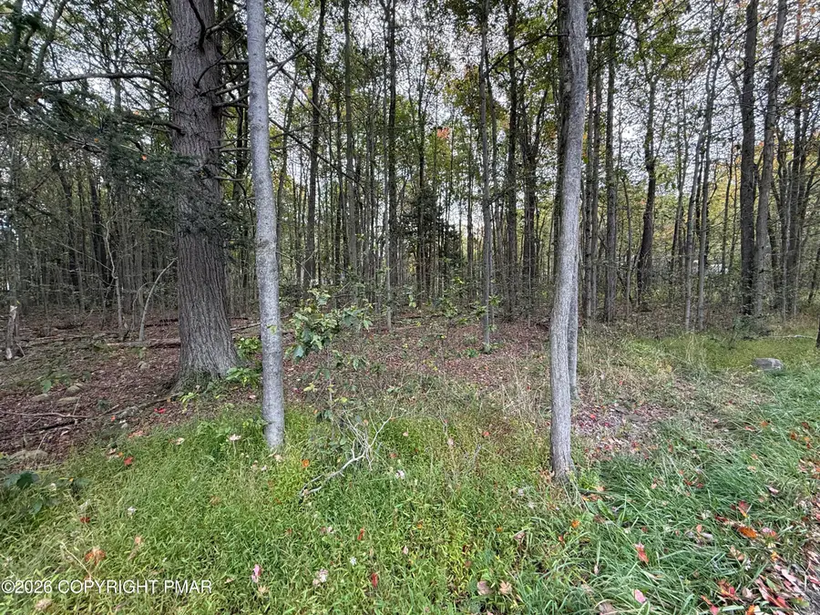 1168 Gross Drive W, Pocono Pines, PA 18350 - #3