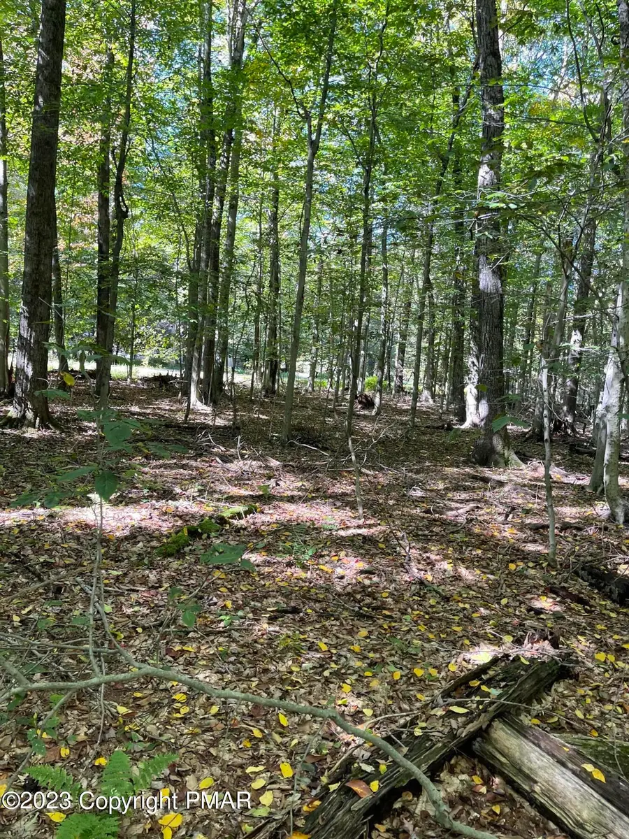 FF33HF Breezewood Drive, Albrightsville, PA 18210 - #3