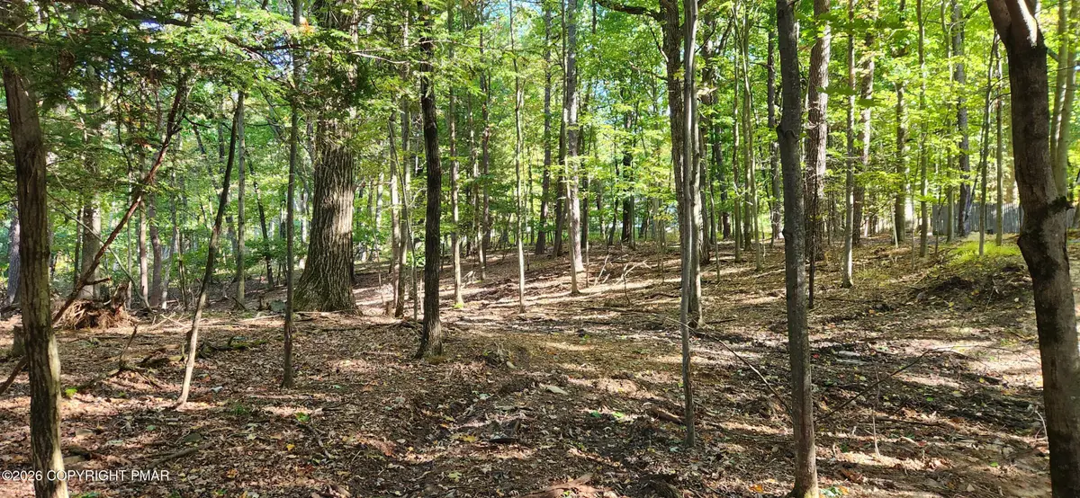 Goldfinch Pl Place, Mount Pocono, PA 18344 - #1