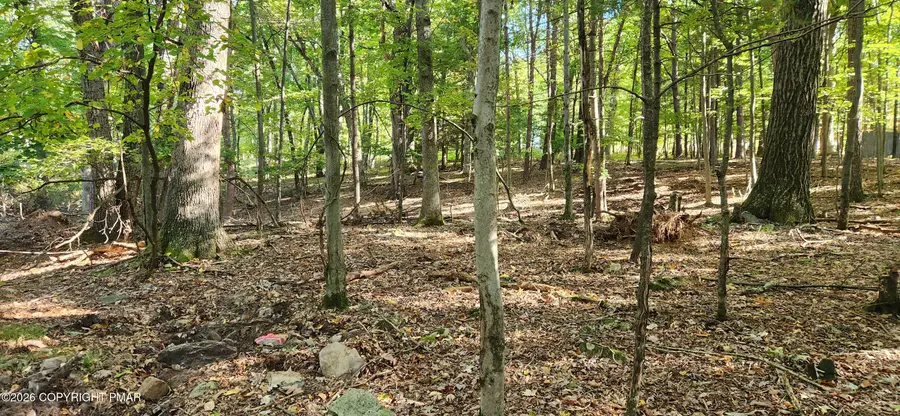 Goldfinch Pl Place, Mount Pocono, PA 18344 - #2