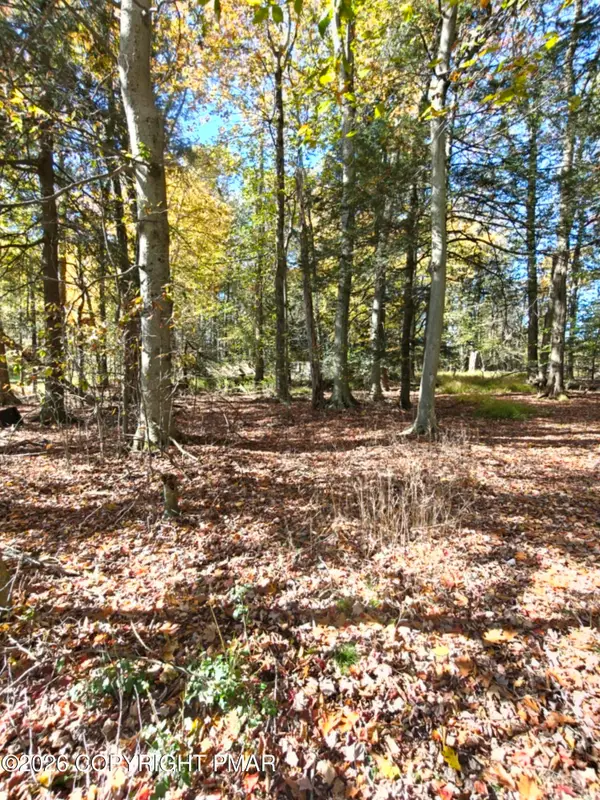 6149 Victoria Drive, Tobyhanna, PA 18466