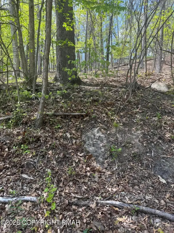 T 641 Road, East Stroudsburg, PA 18301