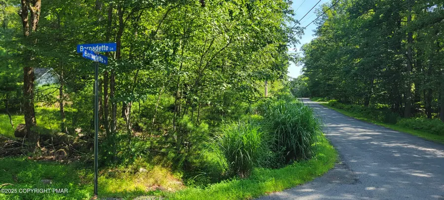 157 Bernadette Drive, Dingmans Ferry, PA 18328 - #3