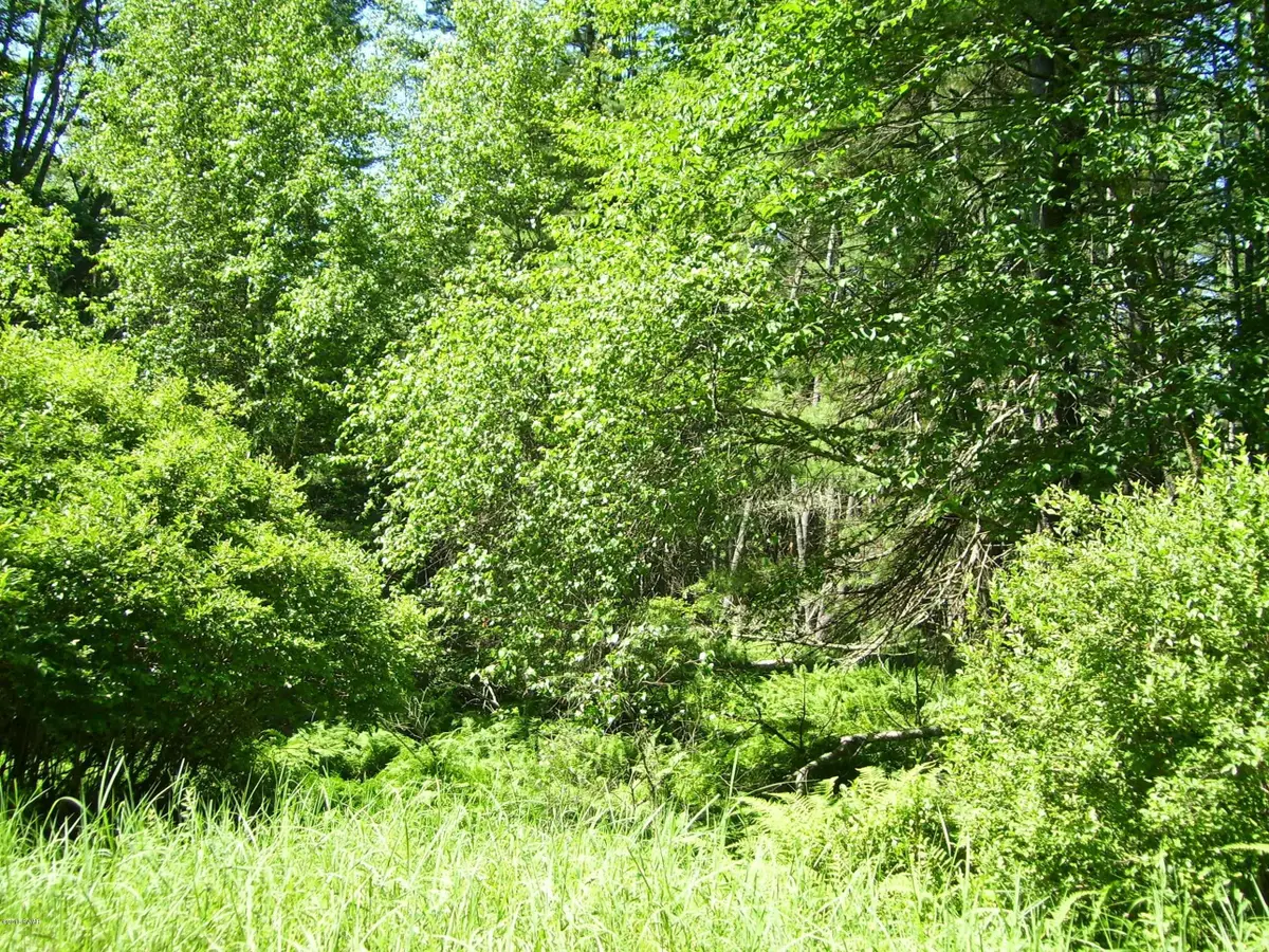 Lot #2 Rebels Road, Lackawaxen, PA 18457 - Image #1