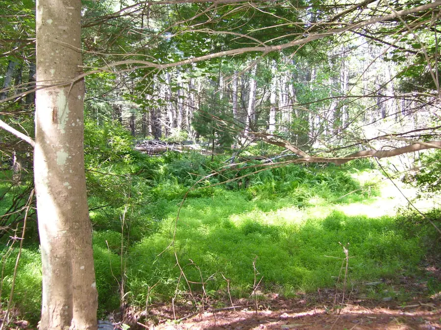 Lot #2 Rebels Road, Lackawaxen, PA 18457 - Image #2