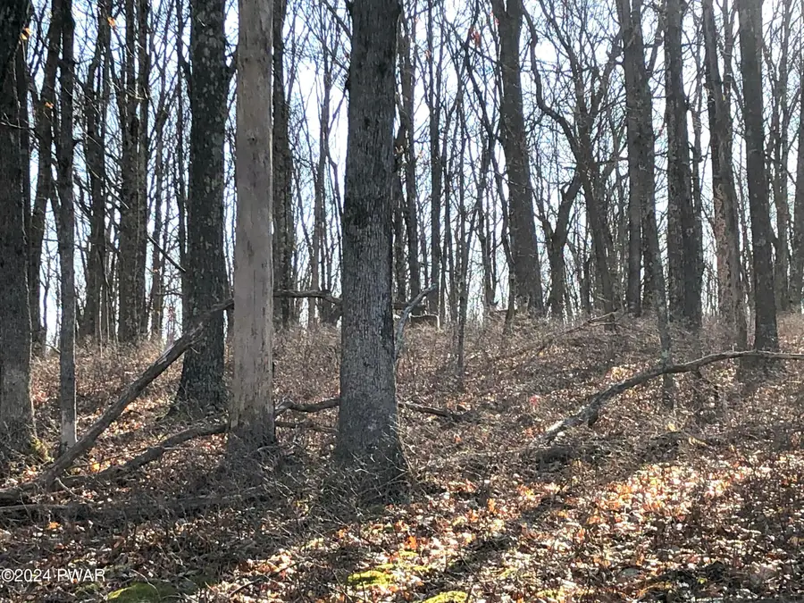 205 Cardinal Court, Hawley, PA 18428 - Image #2