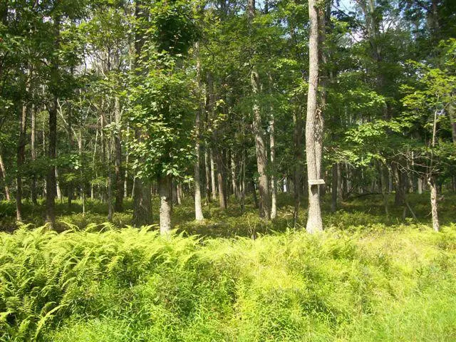 LOT 95 White Tail Circle, Hawley, PA 18428 - Image #2