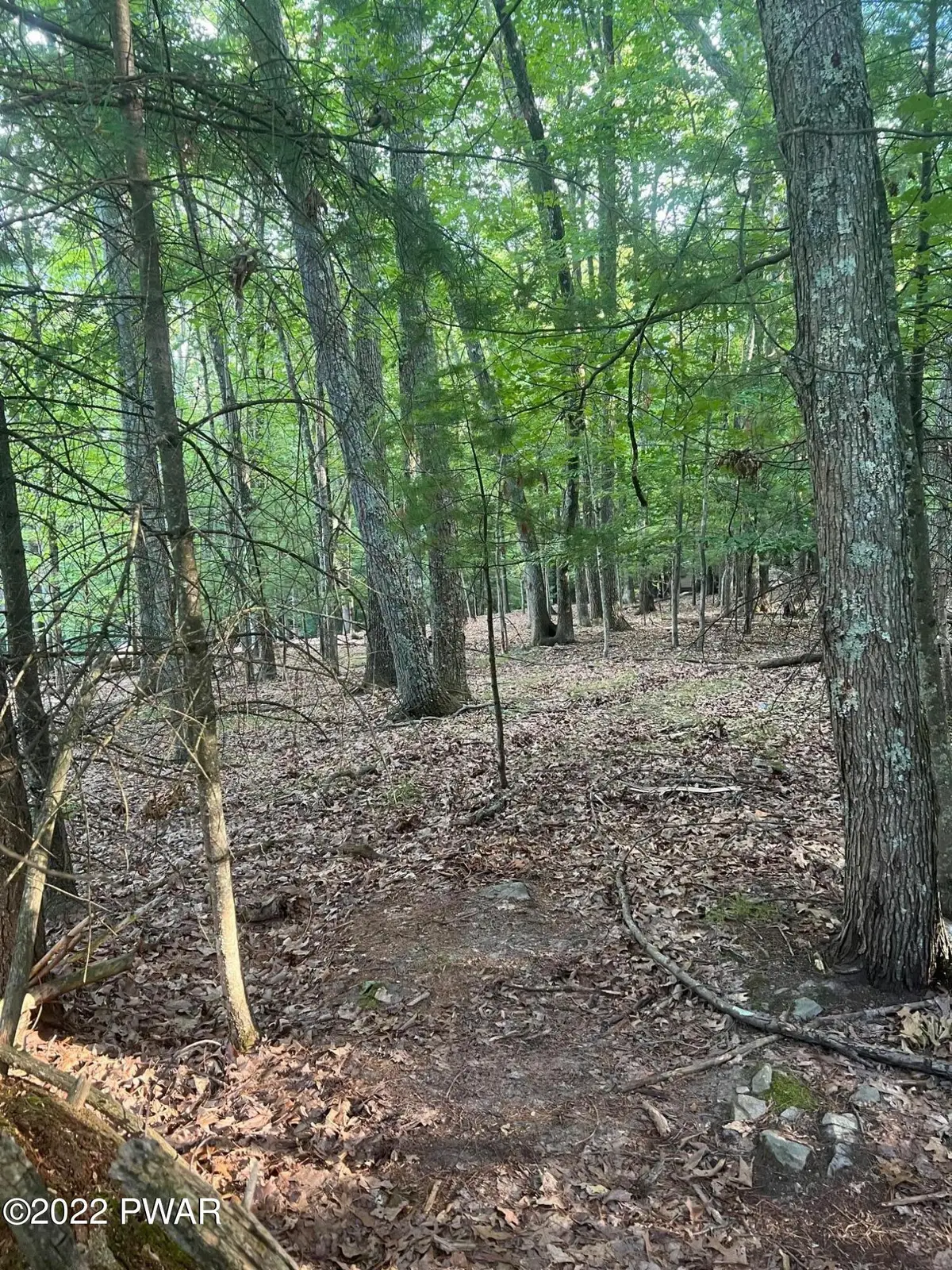 20 Pine Street, Lakeville, PA 18438 - Image #1