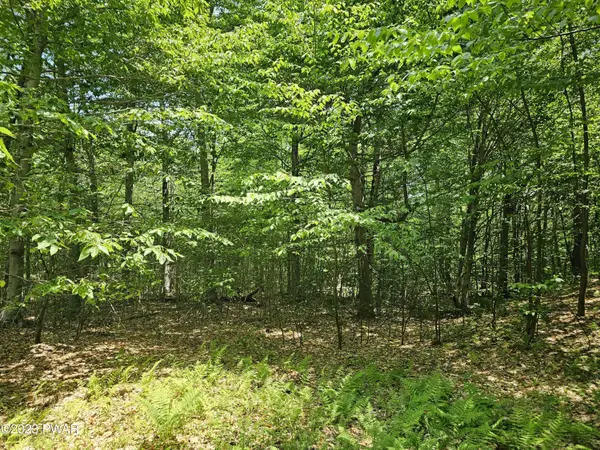 Lot 69 Stonegate Road, Equinunk, PA 18417