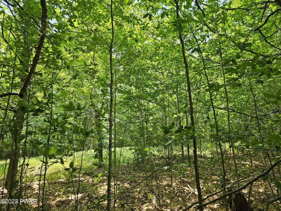 Lot 69 Stonegate Road, Equinunk, PA 18417 - Image #2