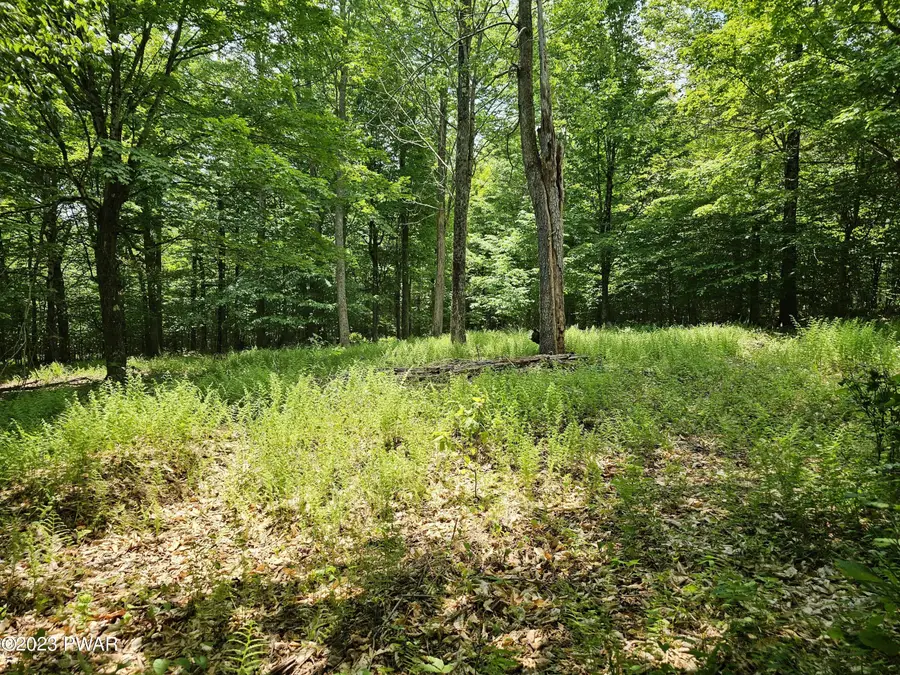 Lot 69 Stonegate Road, Equinunk, PA 18417 - Image #3