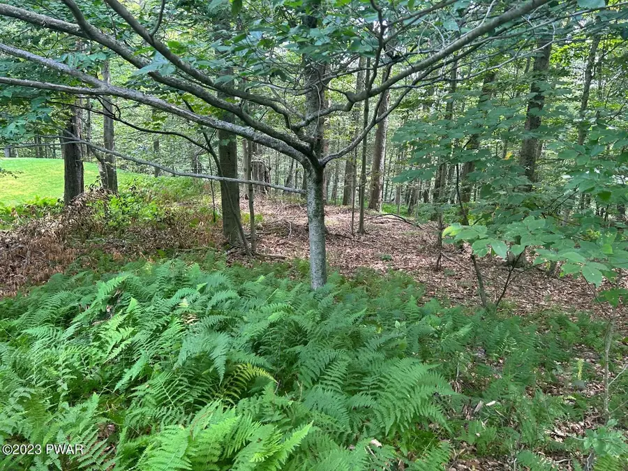 712 Basswood Terrace, Greentown, PA 18426 - Image #3