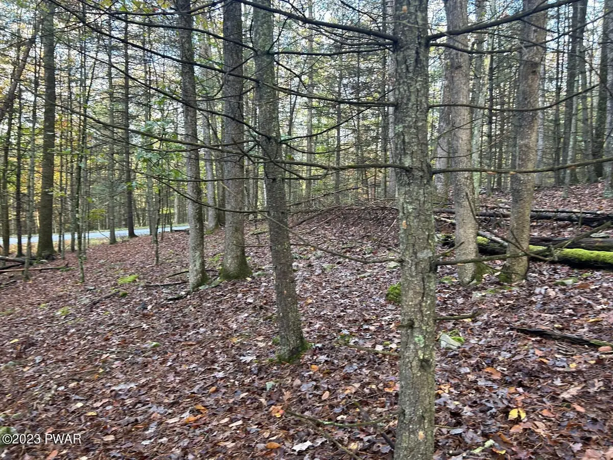 Lot 3 Cedar Ridge Road, Hawley, PA 18428 - #1