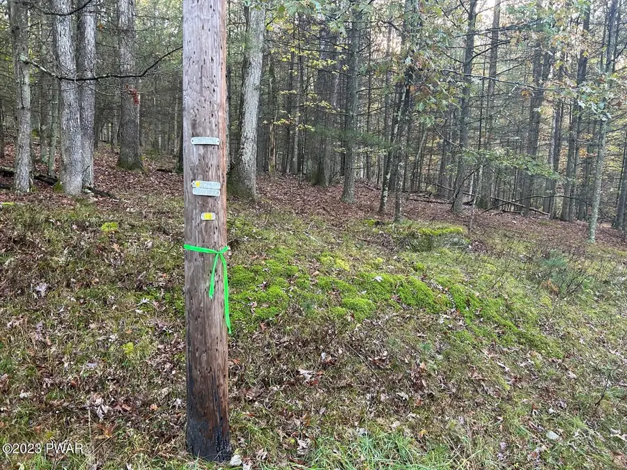 Lot 3 Cedar Ridge Road, Hawley, PA 18428 - #2