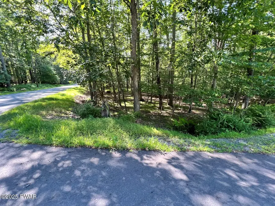 Lot 726 Paper Birch N, Tafton, PA 18464 - Image #3