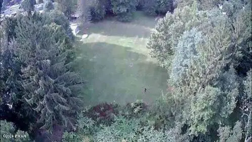 0 Wheeler Street, Hancock, NY 13783 - Image #3