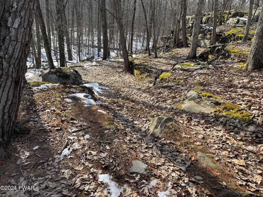 11 Briar Hill South Road, Lakeville, PA 18438 - Image #3