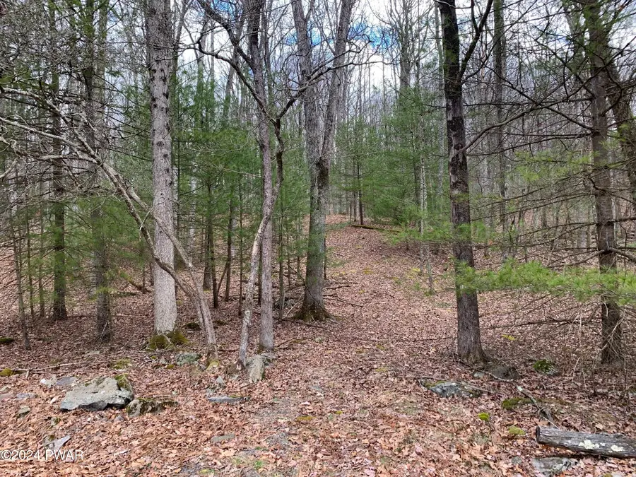 Lot 8 Woodledge East Lake Drive, Hawley, PA 18428 - Image #2