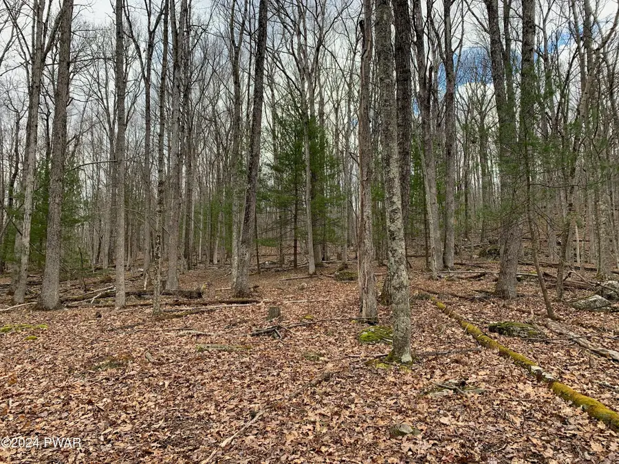 Lot 8 Woodledge East Lake Drive, Hawley, PA 18428 - Image #3