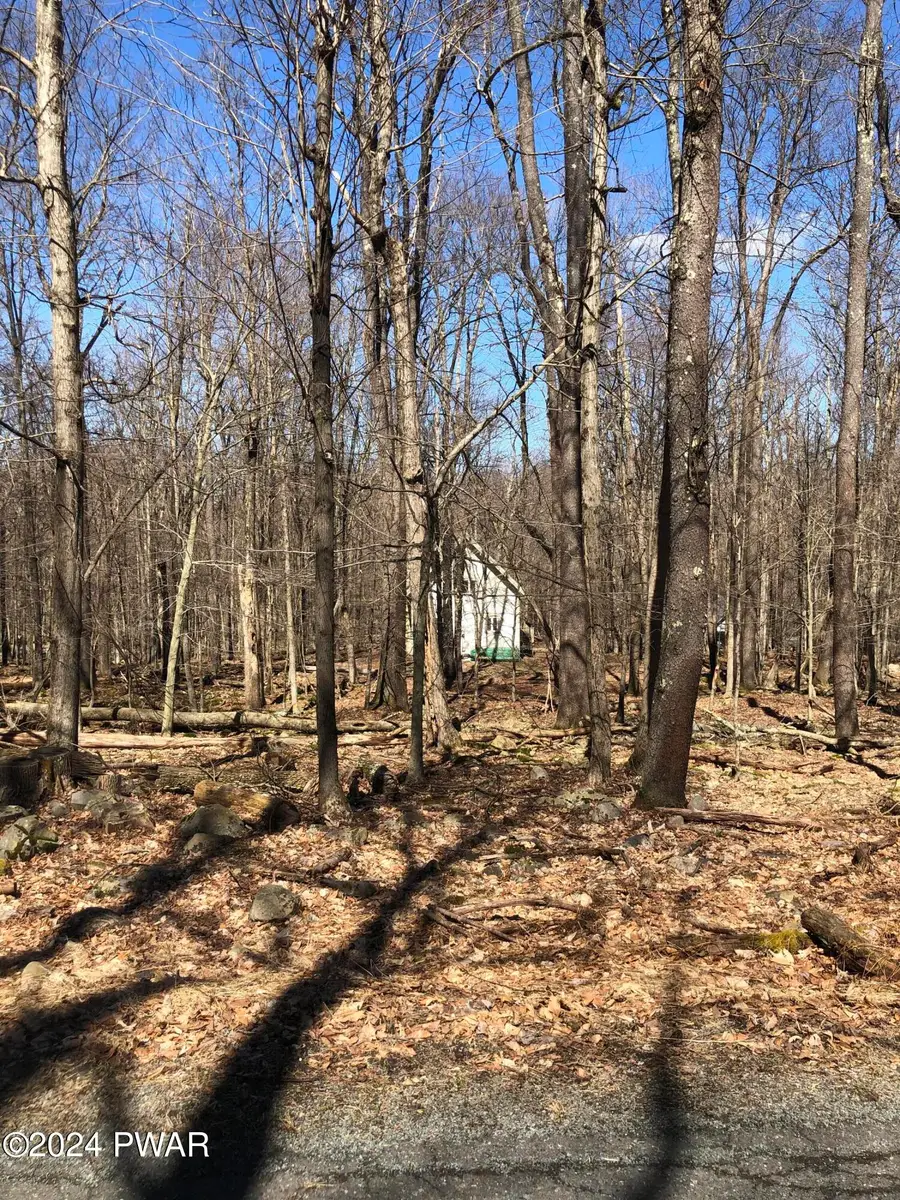 29 Redwood Drive, Newfoundland, PA 18445 - Image #2