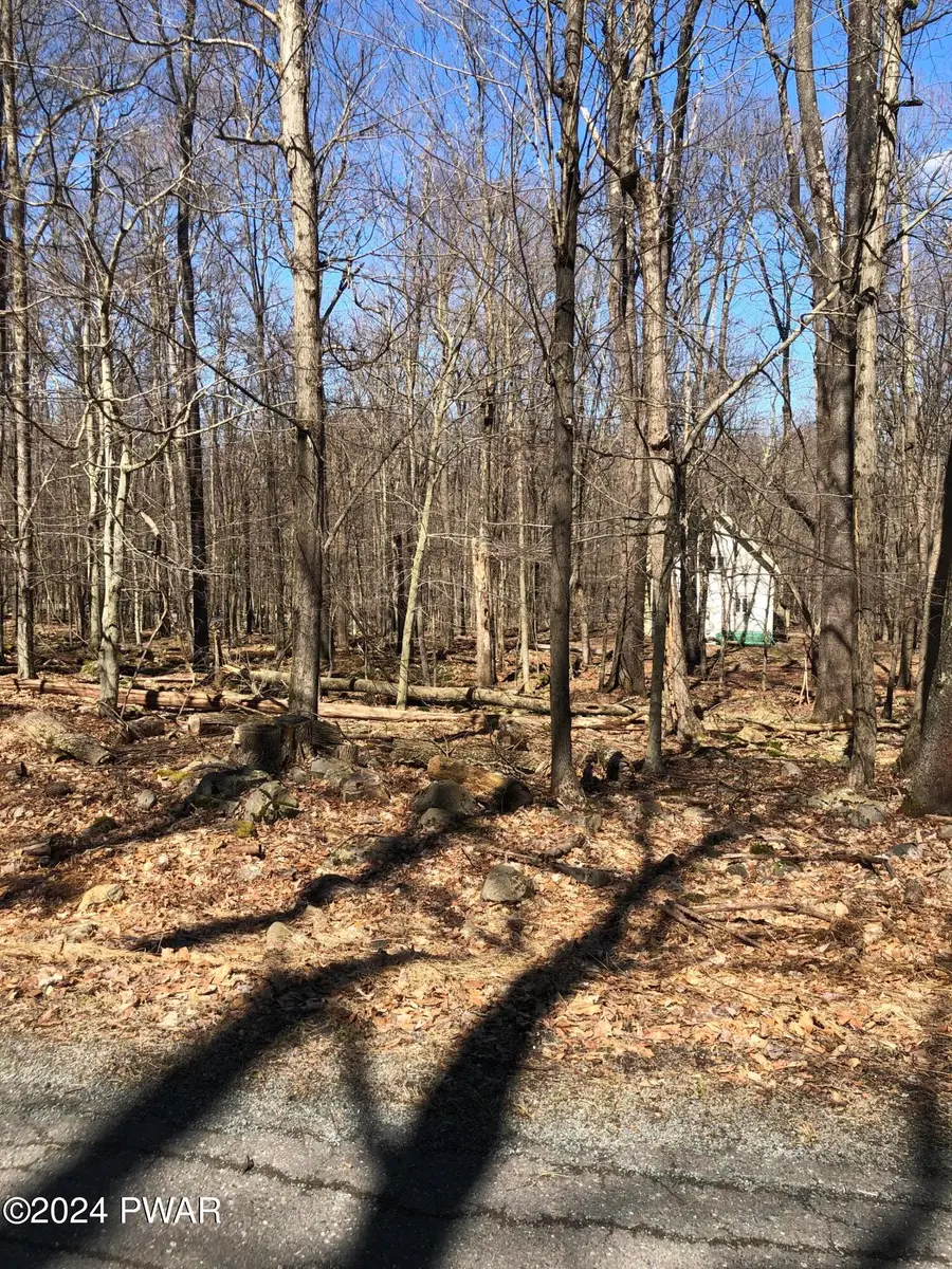 29 Redwood Drive, Newfoundland, PA 18445 - Image #3