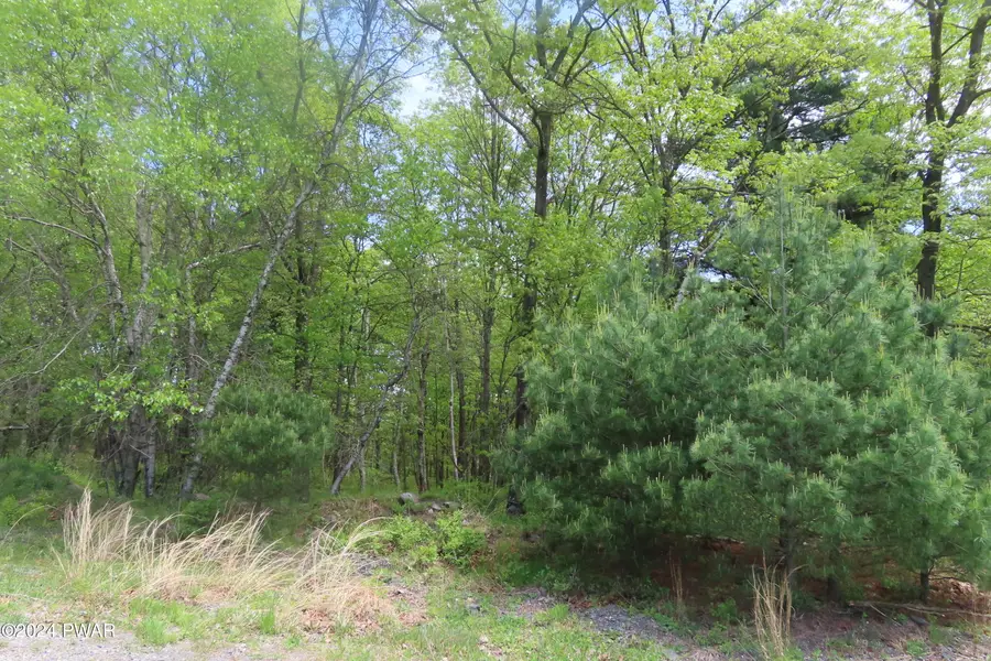 Lot 45.06 Heaters Hill Road, Matamoras, PA 18336 - Image #3