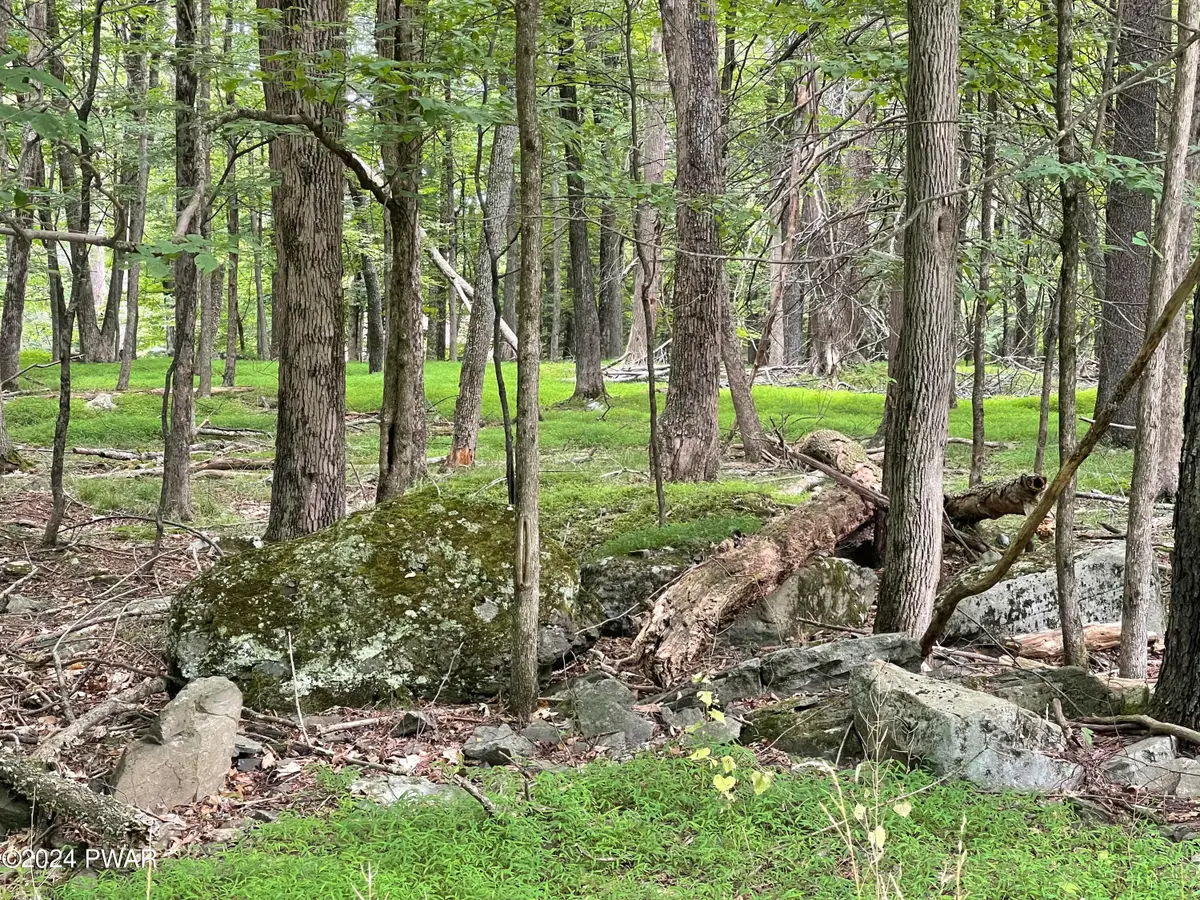 Lot 568 Sunrise Trail, Hawley, PA 18428 - Image #1