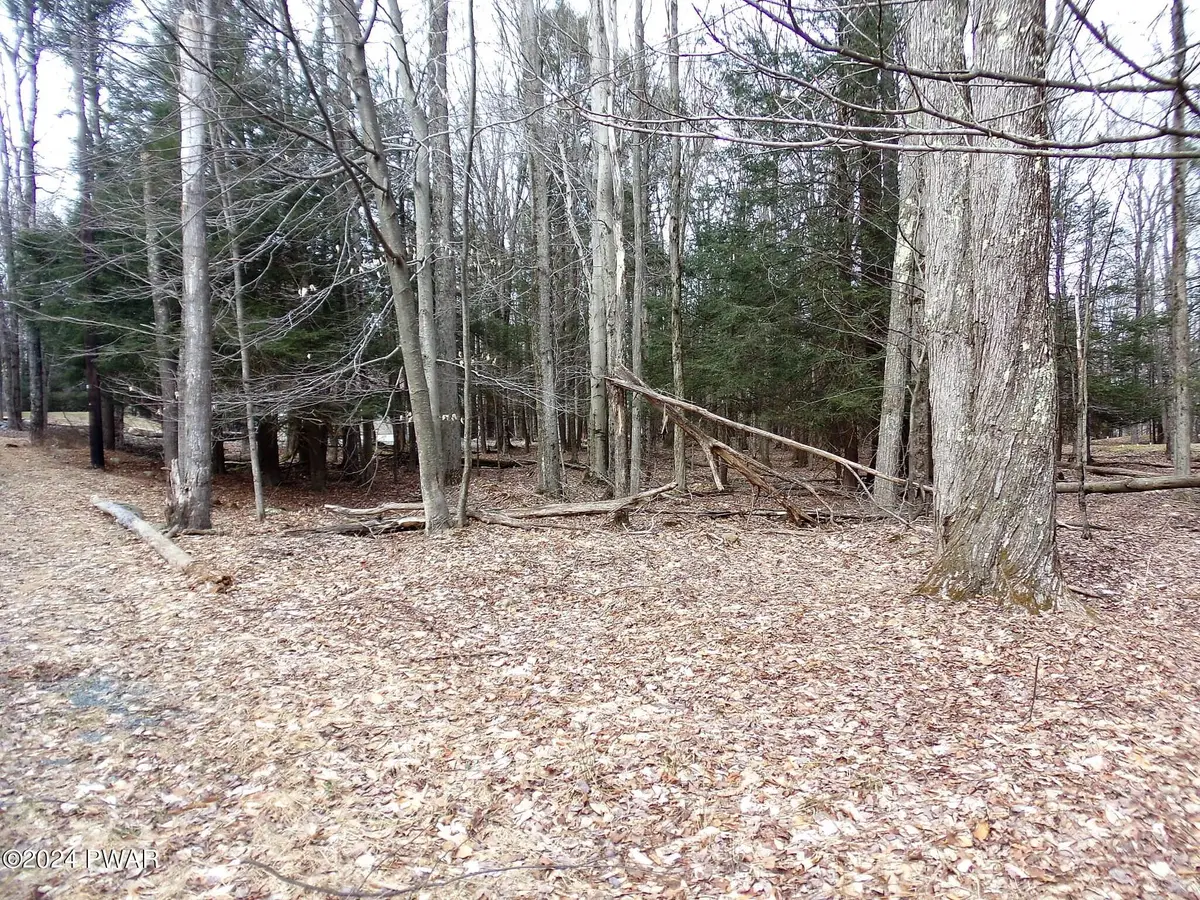 Lot 216 Aquarius Lane, Lake Ariel, PA 18436 - Image #1