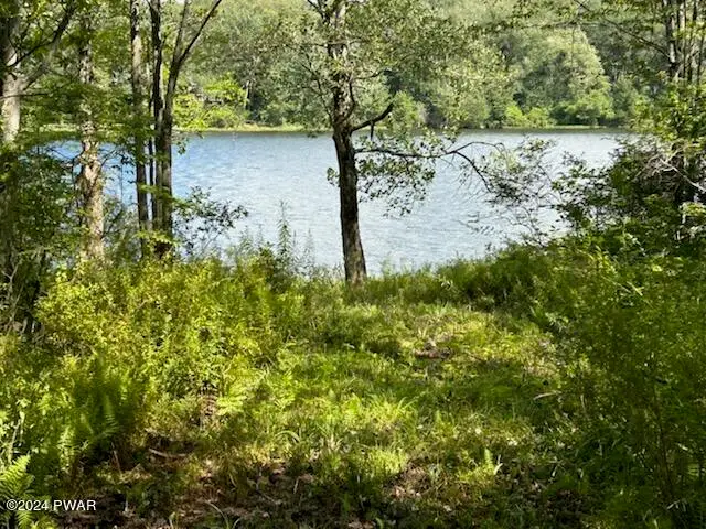 Lot R-C2 Spruce Lake Road, Thompson, PA 18465 - Image #2
