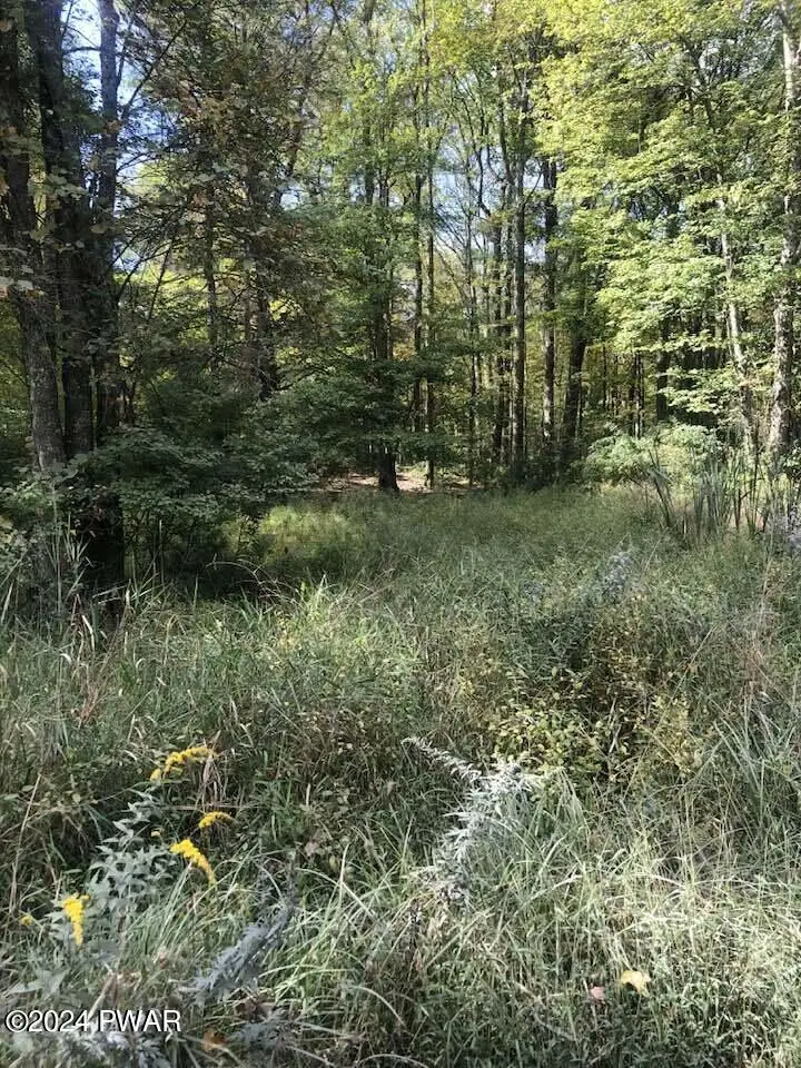 Lot 105 Kemadobi Circle E, Dingmans Ferry, PA 18328 - Image #2