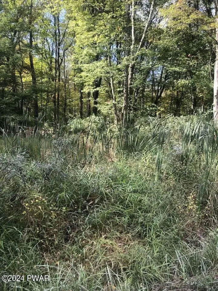 Lot 106 Kemadobi Circle E, Dingmans Ferry, PA 18328 - Image #3