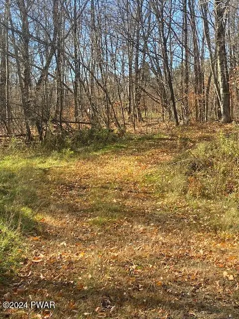 Rotten Road, Equinunk, PA 18417 - Image #3