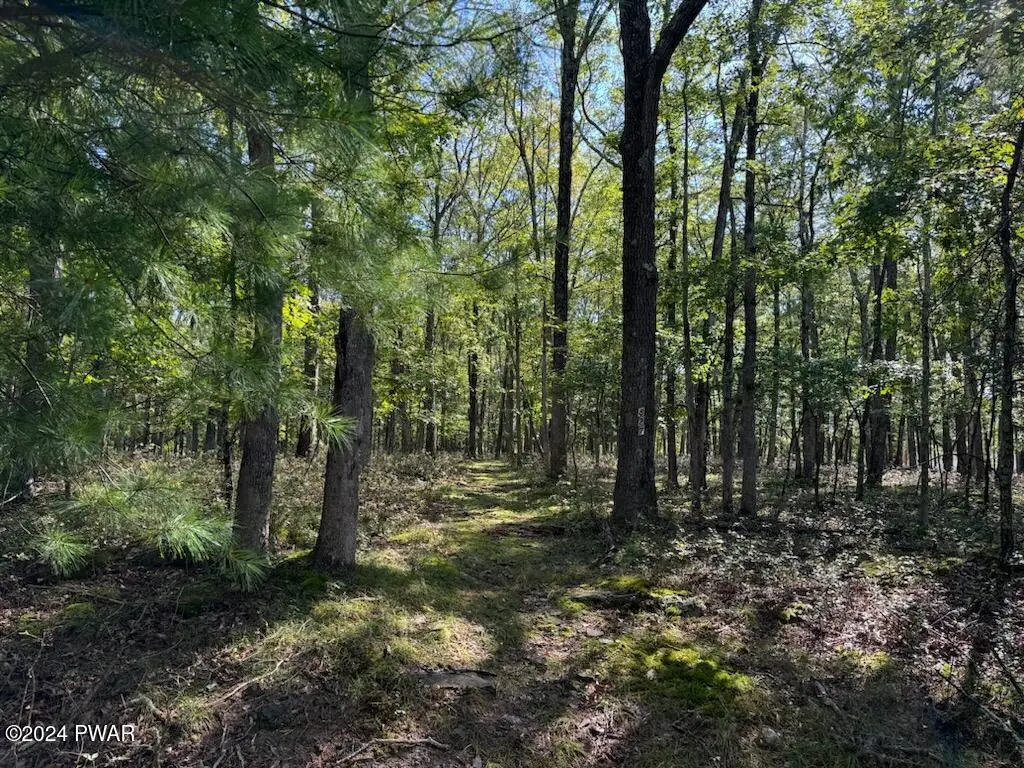 Redstart Court, Hawley, PA 18428 - Image #1