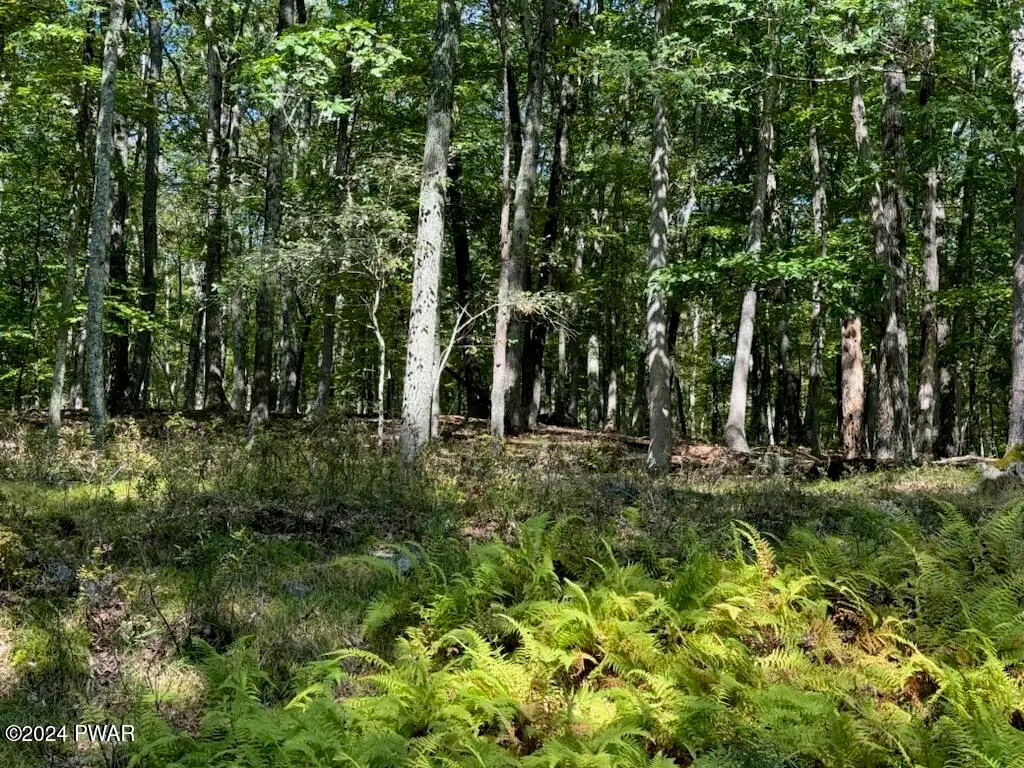 Tinkwig Drive, Hawley, PA 18428 - Image #1