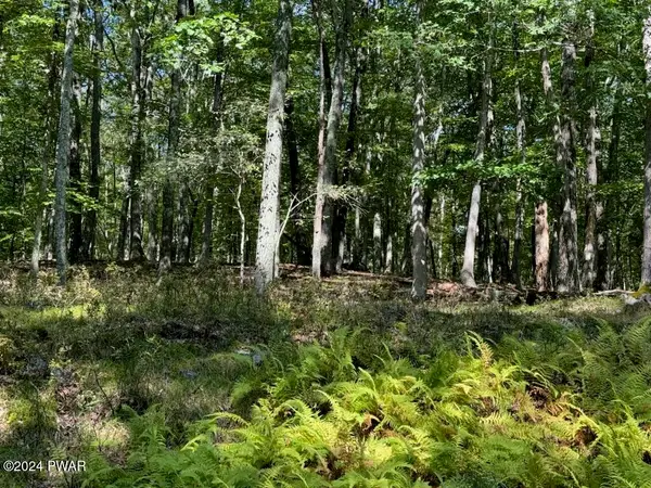 Tinkwig Drive, Hawley, PA 18428