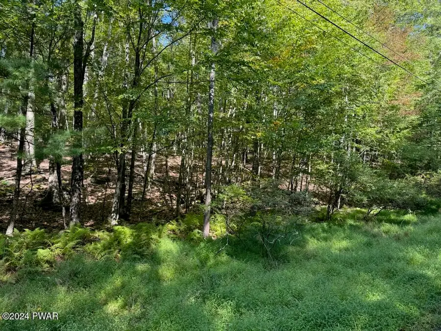 Tinkwig Drive, Hawley, PA 18428 - Image #2