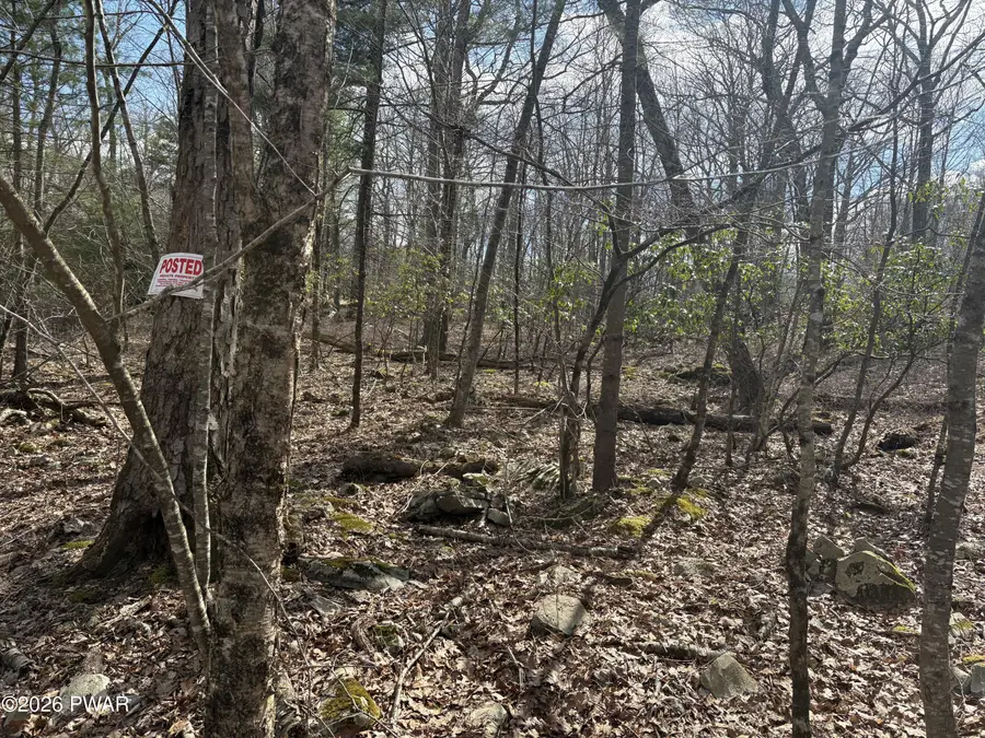 Lot 683 Lake Forest Drive, Dingmans Ferry, PA 18328 - #3