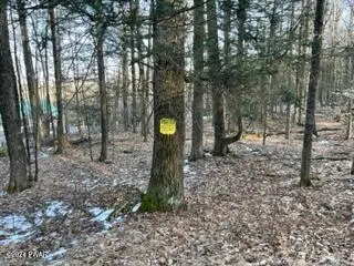 104 Wallenpaupack Drive, Greentown, PA 18426 - Image #3