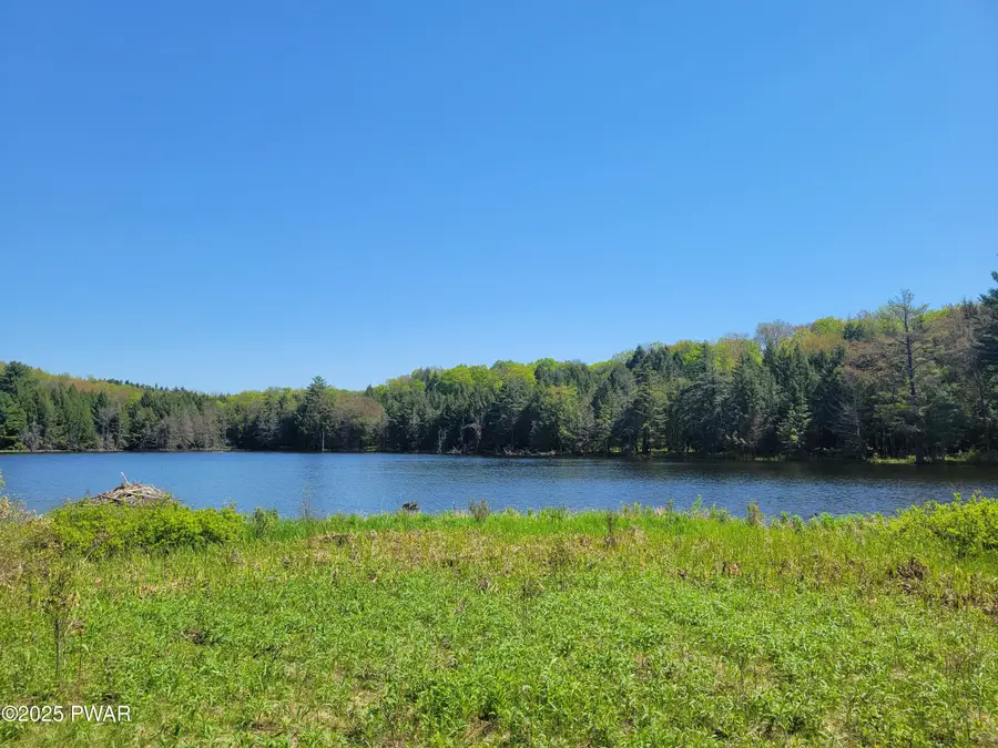 298 Maple Grove Road, Starrucca, PA 18462 - Image #3