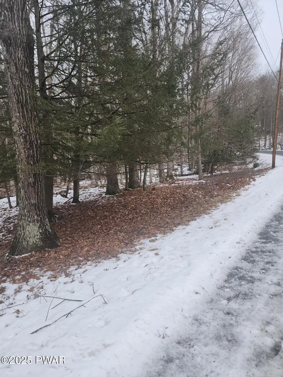Lot 717 Paper Birch N, Tafton, PA 18464 - Image #3