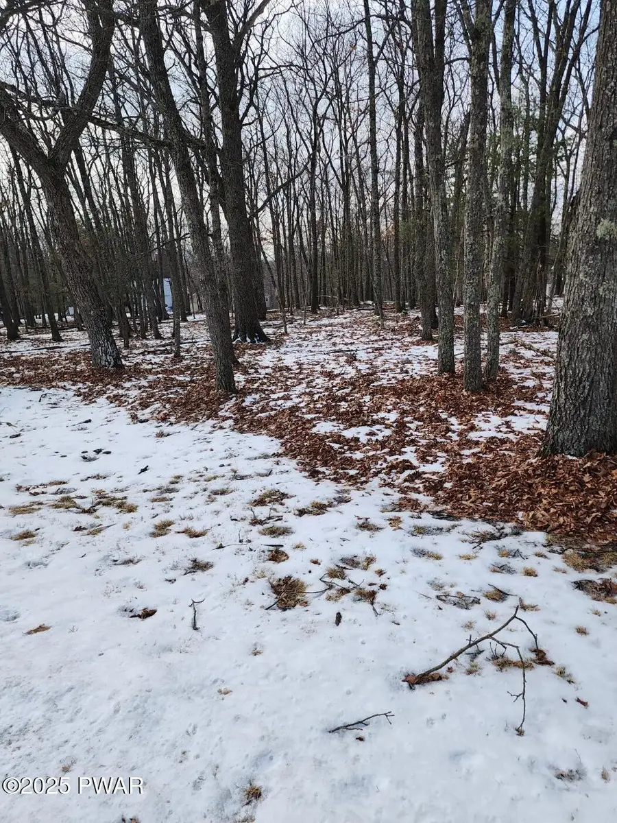 Lot 897 Pico Lane, Tafton, PA 18464 - Image #3