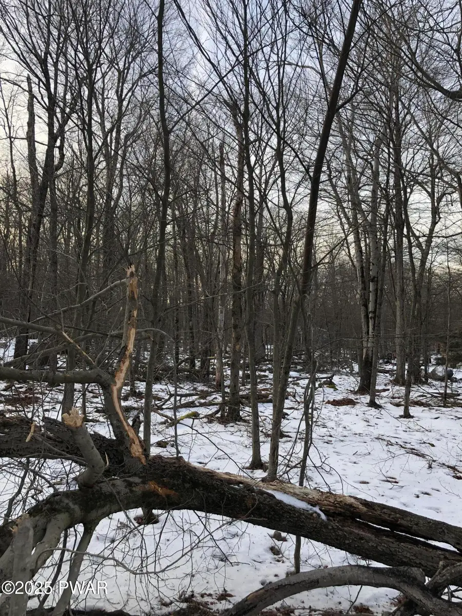 99 Ridge Drive, Gouldsboro, PA 18424 - Image #3