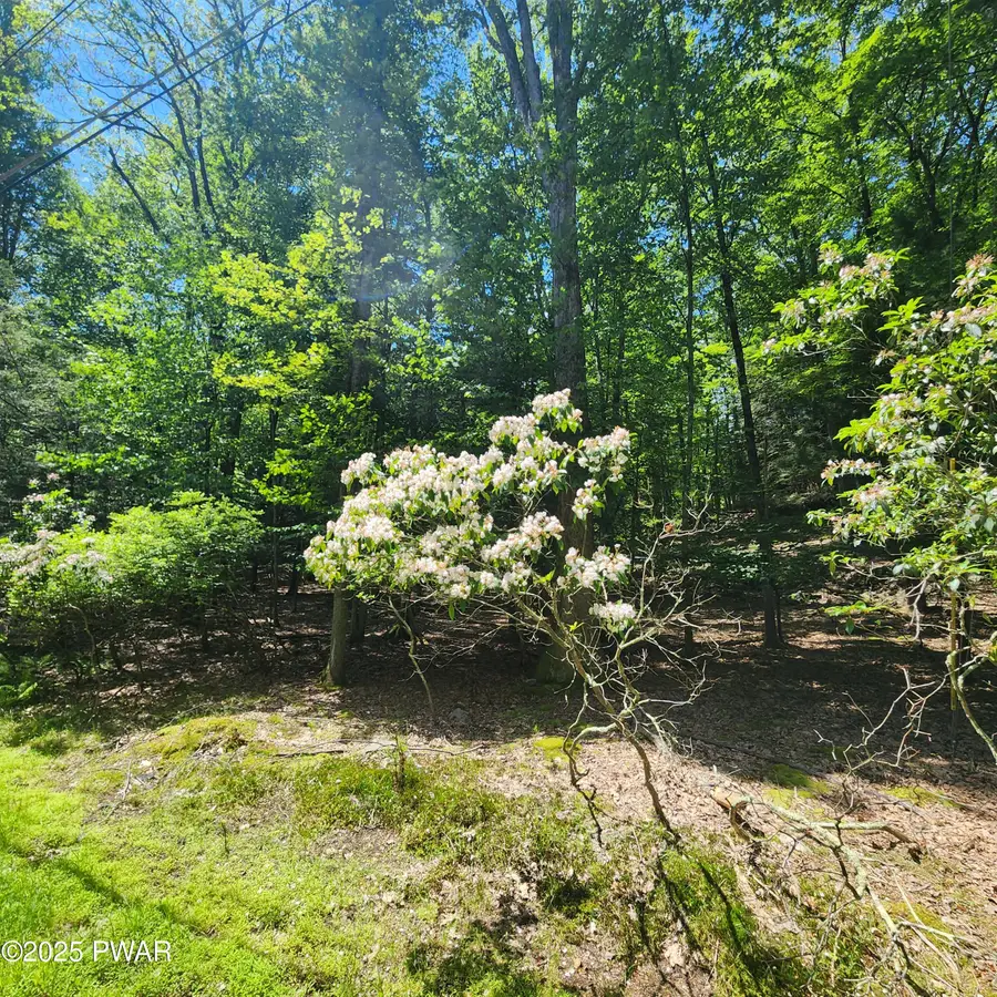 145 & 146 Indian Drive, Greentown, PA 18426 - Image #3