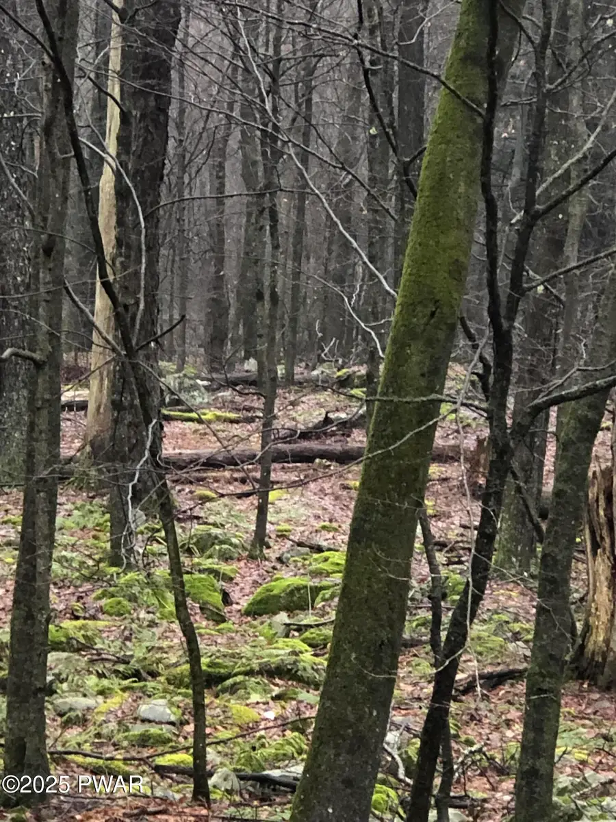 136 Fountain Drive, Newfoundland, PA 18445 - Image #3