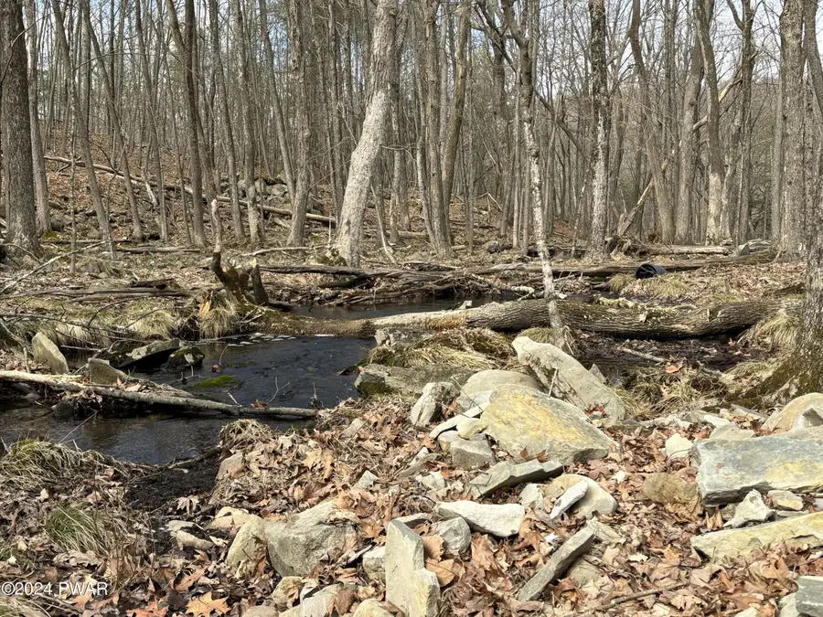 Dwarfskill Court, Milford, PA 18337 - Image #2